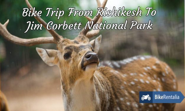 Bike Trip From Rishikesh To Jim Corbett National Park
